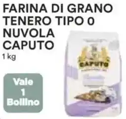 Ipercoop Farina di grano tenero tipo o nuvola caputo offerta