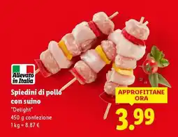 Lidl Spiedini di pollo con suino “Delight” offerta