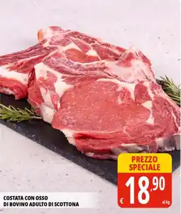 Tigros Costata con osso di bovino adulto di scottona offerta