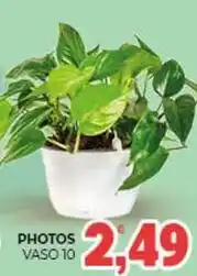 Eté Photos vaso 10 offerta
