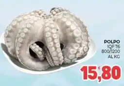 Eté Polpo IQFT6 800/1200 offerta
