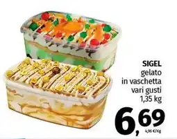 Pam SIGEL gelato in vaschetta vari gusti offerta
