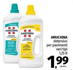 Pam AMUCHINA detersivo per pavimenti vari tipi offerta
