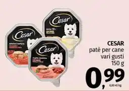 Pam CESAR patè per cane vari gusti offerta