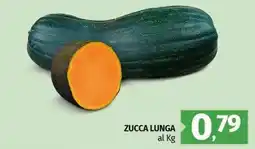 Pam Zucca lunga offerta