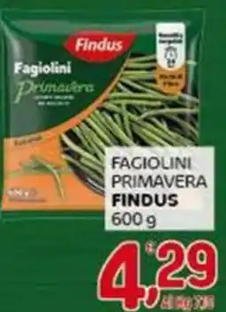 Crai Fagiolini primavera FINDUS offerta