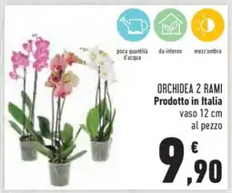 Conad Orchidea 2 Rami offerta