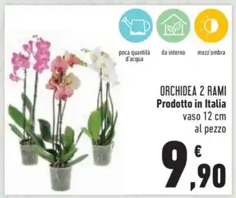 Conad Orchidea 2 Rami offerta