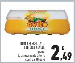 Conad Uova Fresche Ovito Fattoria Novelli offerta