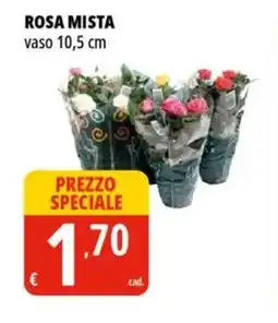 Tigros Rosa mista offerta