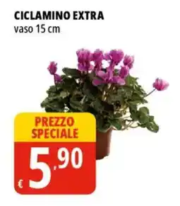 Tigros Ciclamino extra offerta