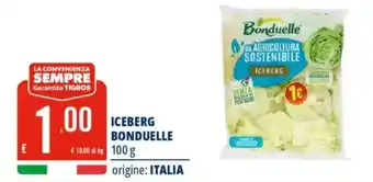 Tigros Iceberg BONDUELLE offerta