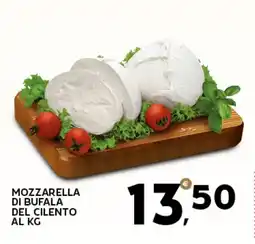 Extra Supermercati Mozzarella di bufala del cilento offerta