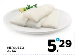 Extra Supermercati Merluzzo offerta