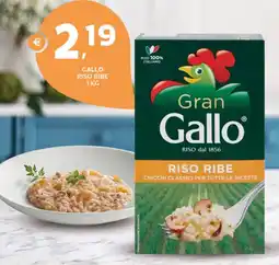 Extra Supermercati Gallo riso ribe offerta