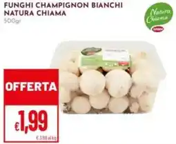 Pan Funghi champignon bianchi natura chiama offerta