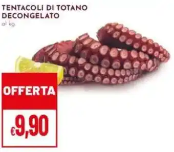 Pan Tentacoli di totano decongelato offerta