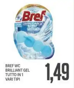 Supermercati Piccolo Bref wc brilliant gel tutto in 1 vari tipi offerta