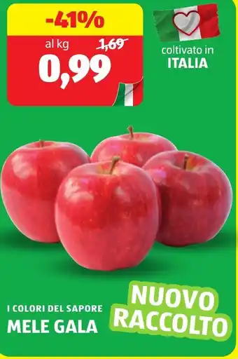 ALDI I colori del sapore mele gala offerta