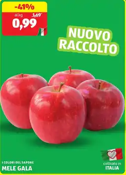 ALDI I colori del sapore mele gala offerta