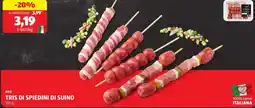ALDI Bbq tris di spiedini di suino offerta