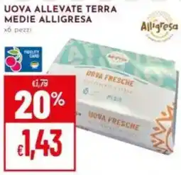 Pan Uova allevate terra medie ALLIGRESA offerta