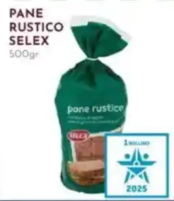 Pan Pane rustico SELEX offerta