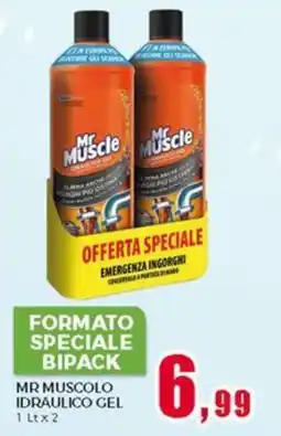 Happy Casa MR MUSCOLO idraulico gel offerta