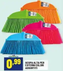 Risparmio Casa Scopa alta per esterni colori assortiti offerta