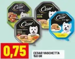 Risparmio Casa Cesar vaschetta offerta