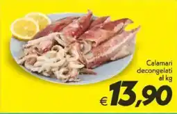 Iper Super Conveniente Calamari decongelati offerta
