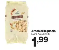 In'S Mercato Arachidi in guscio offerta