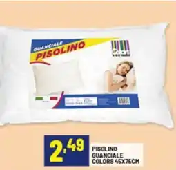 Risparmio Casa Pisolino guanciale colors 45x75cm offerta