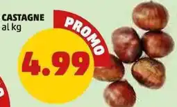PENNY Castagne offerta