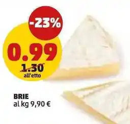 PENNY BRIE al kg offerta