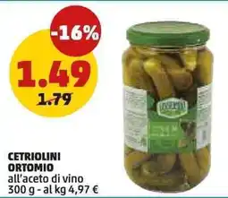 PENNY Cetriolini ORTOMIO offerta