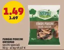 PENNY Funghi porcini ORTOMIO offerta