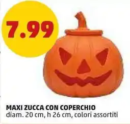 PENNY Maxi zucca con coperchio offerta