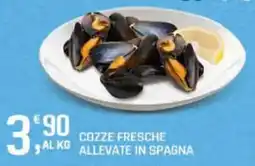 Supermercati Dok Cozze fresche offerta