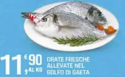 Supermercati Dok Orate fresche offerta