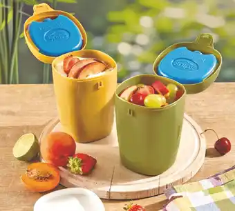 MD Discount PORTAYOGURT VERDE OLIVA/ SENAPE offerta