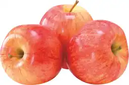 MD Discount MELE GALA offerta