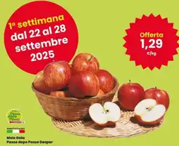 Interspar Mele Gala Passo dopo Passo Despar offerta