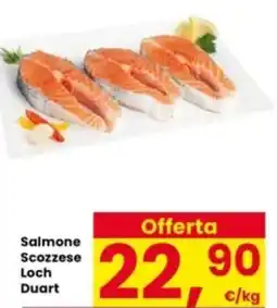 Interspar Salmone Scozzese Loch Duart offerta