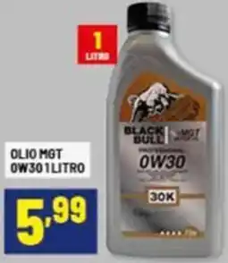 Risparmio Casa Olio mgt 0w30 offerta