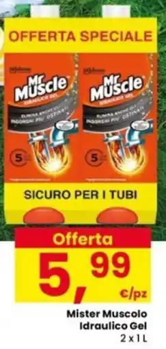Interspar Mister Muscolo Idraulico Gel offerta