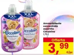 Interspar Ammorbidente concentrato assortito Coccolino offerta