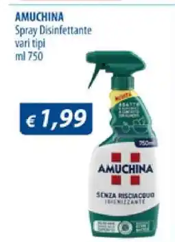 Acqua & Sapone AMUCHINA offerta