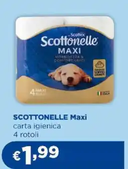 Acqua & Sapone SCOTTONELLE Maxi offerta