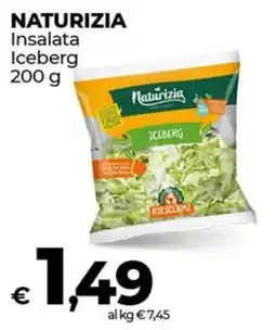 Coop NATURIZIA Insalata Iceberg offerta